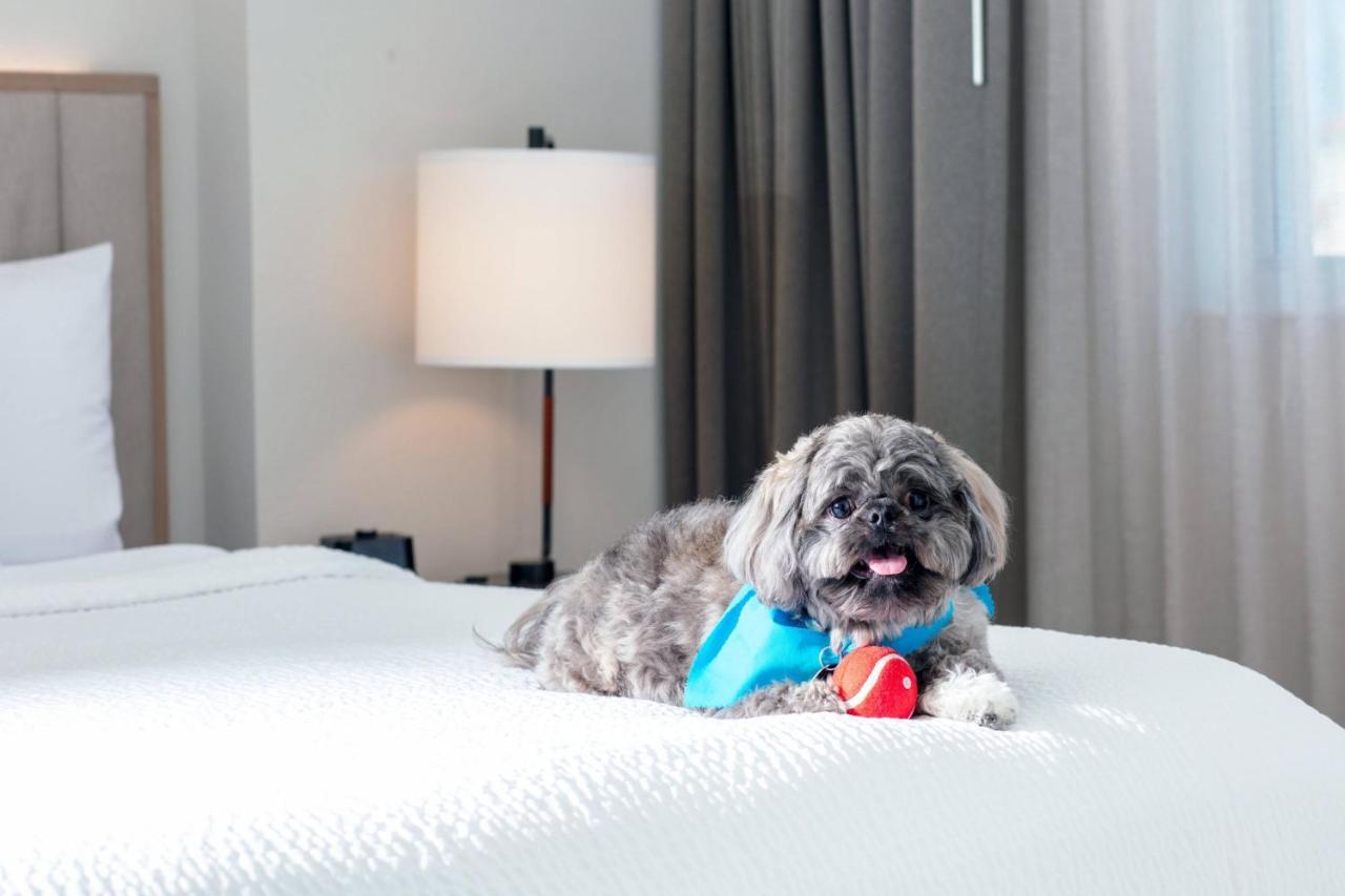 Residence Inn By Marriott Miami Aventura Mall Bagian luar foto